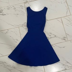 American Apparel Ponte Skater Dress